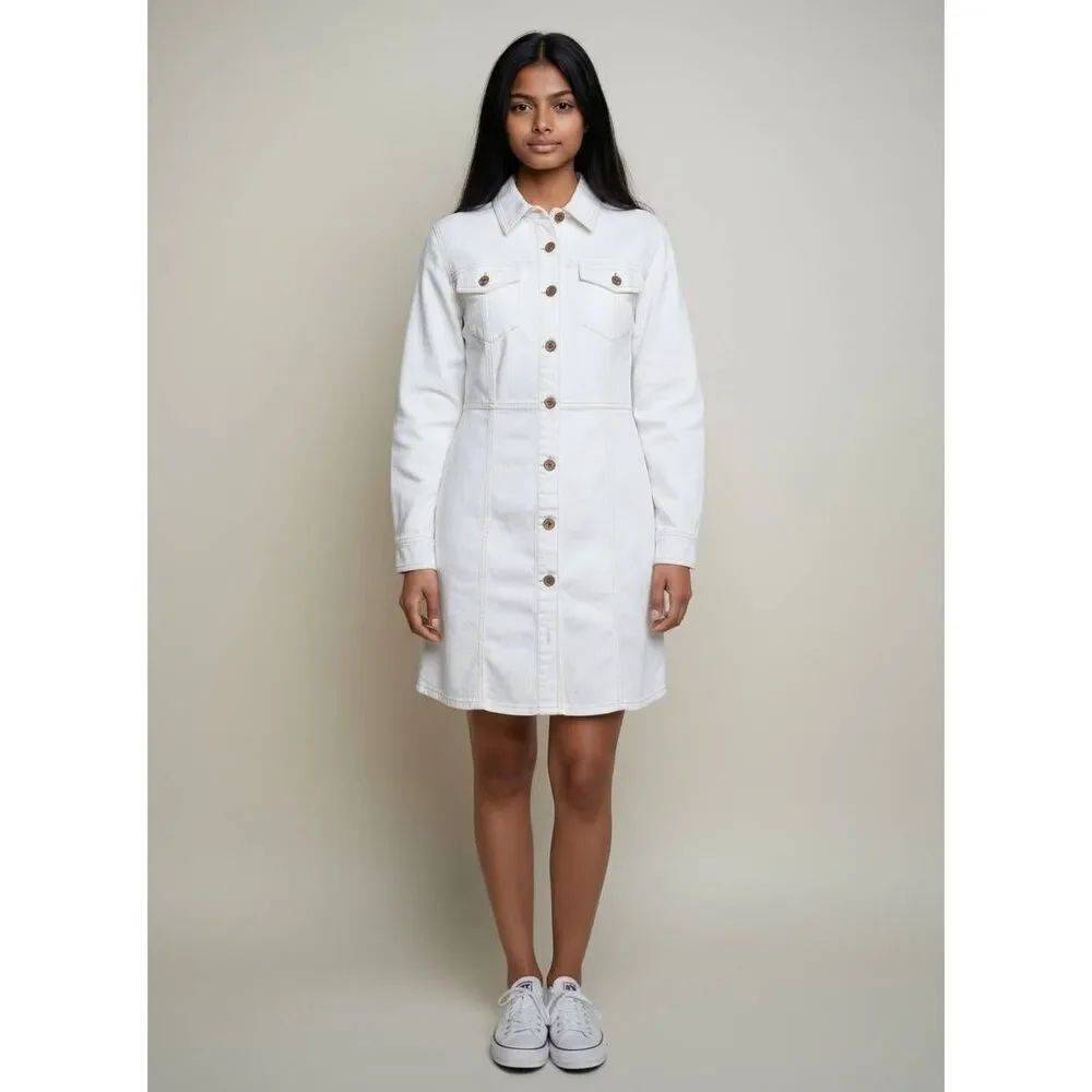 Frye denim shirt dress
